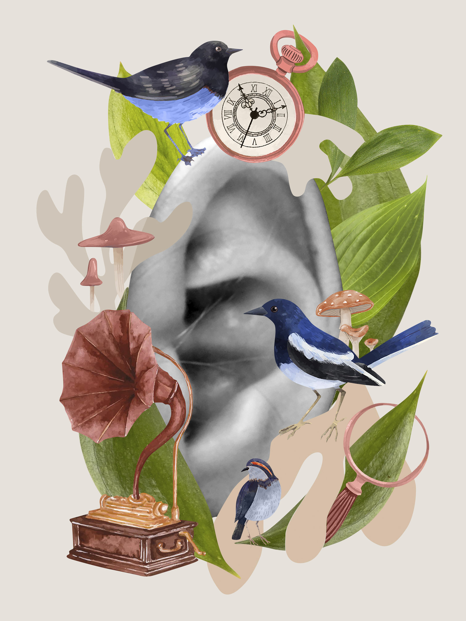 sight-sense-birds-collage_result.jpg
