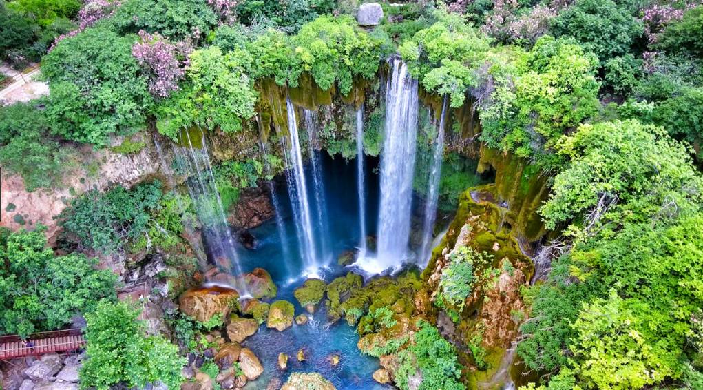 Yabani Hayat Gelişim Alanları