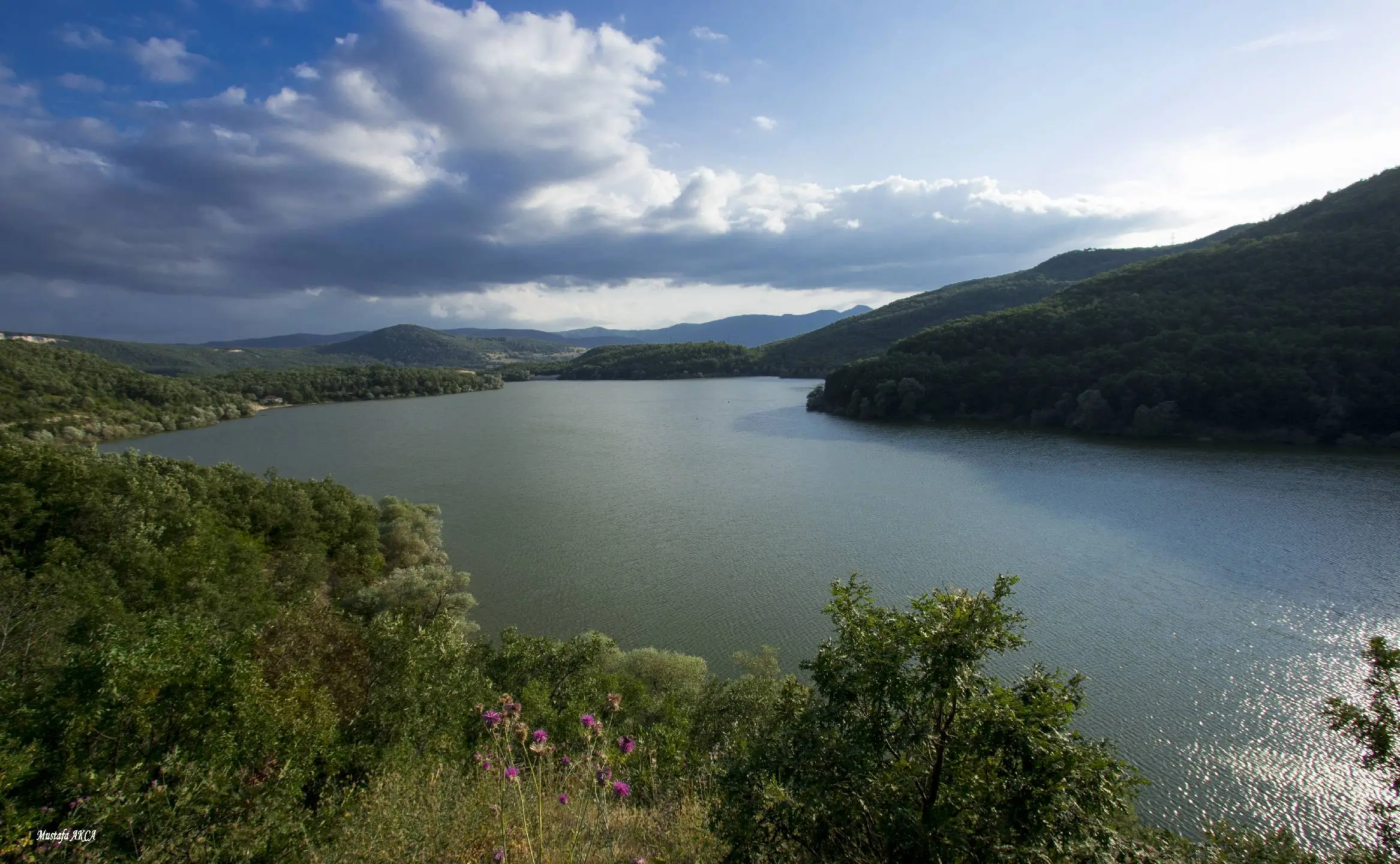 Doğa Fotoğrafçılığı